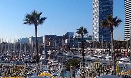 gouden vis peix d'or in olympische haven